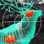 wild-hunt-sport-hunting-games-mod-apk-v1-462-municao-infinita
