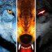 Download Wolf Online (MOD, points) 1.4.0