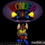 wonder-dog