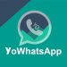 Download YOWhatsApp v20.50.0 APK -Download Atualizado 2022