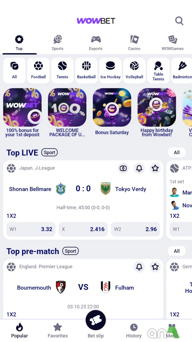 Wowbet 256.0.2 - imagem 1