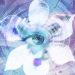 Download Blue Iris 2.0.4