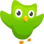 Download Duolingo: Learn Languages Free 3.14.2