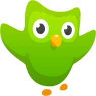 Download Duolingo: Learn Languages Free 3.14.2