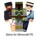 Download Skins for Minecraft PE 9.3