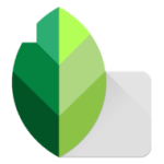 Download Snapseed 2.19.0.201907232