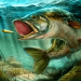 Download Ultimate Fishing Simulator (MOD, Unlimited Coins) 3.71